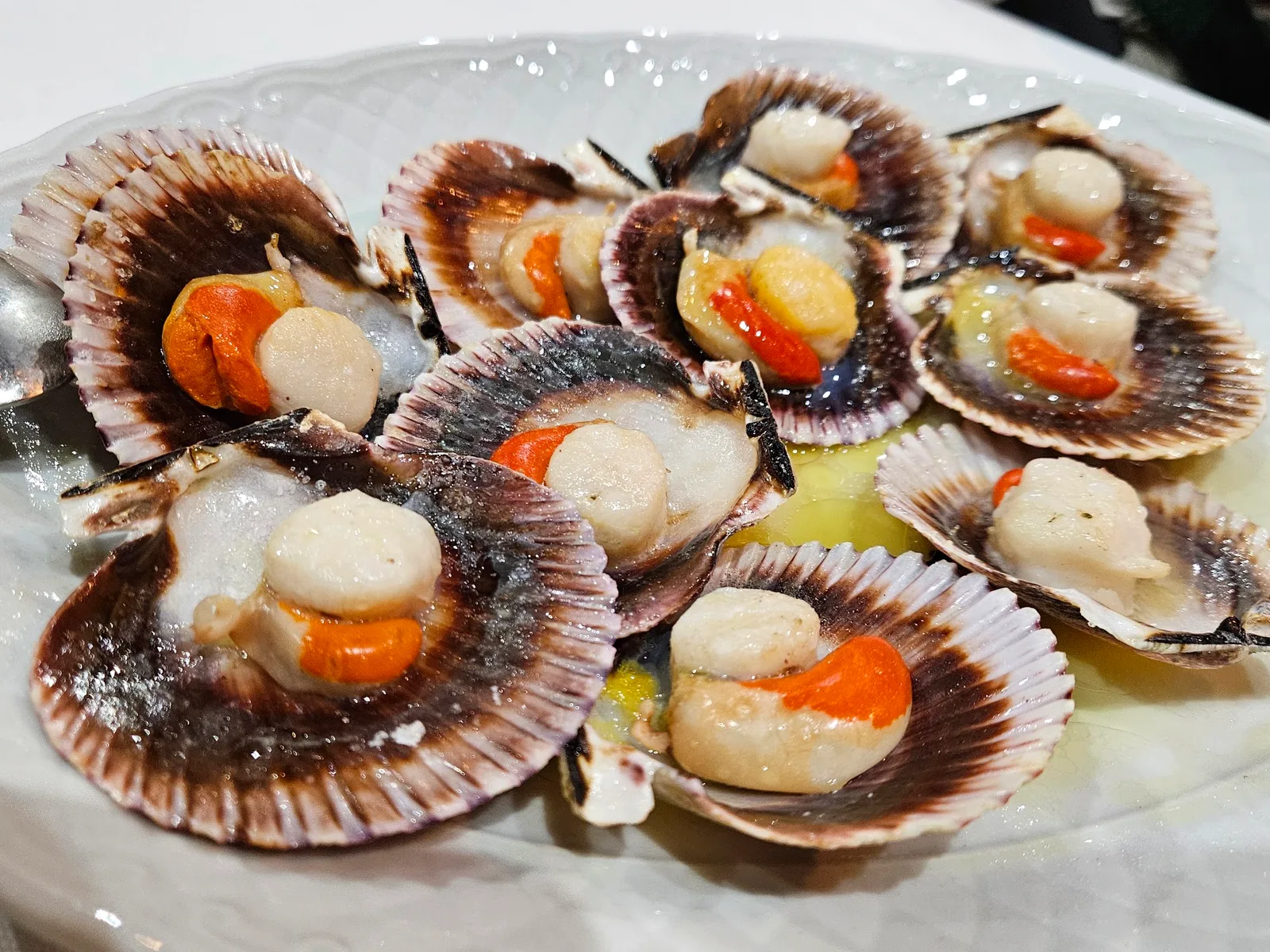 Volandeiras gratinadas